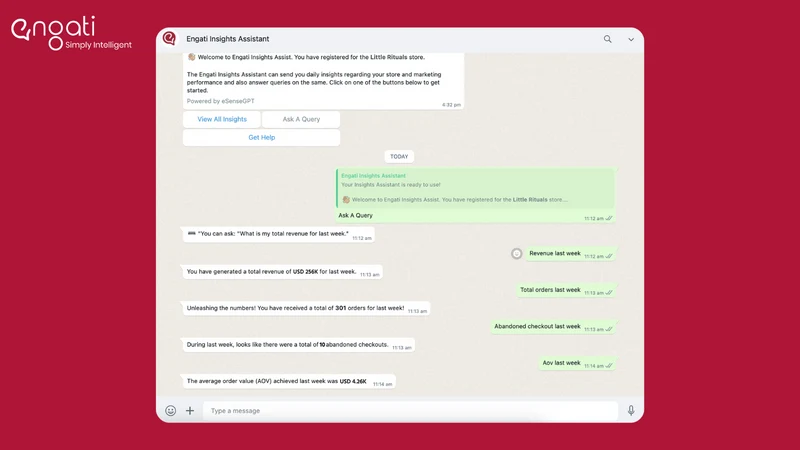 Engati: Insights Assistant