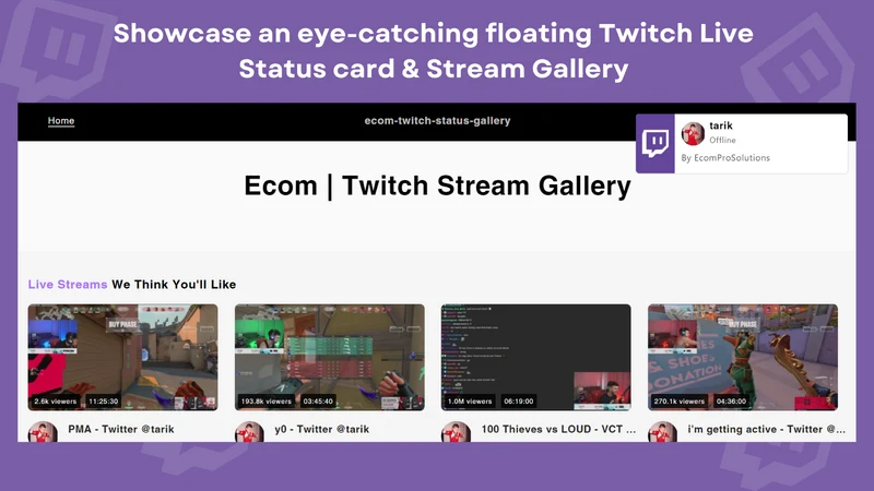 Ecom | Twtich Status & Gallery