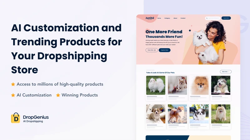 Dropshipping: AI Store Builder