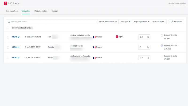 DPD France