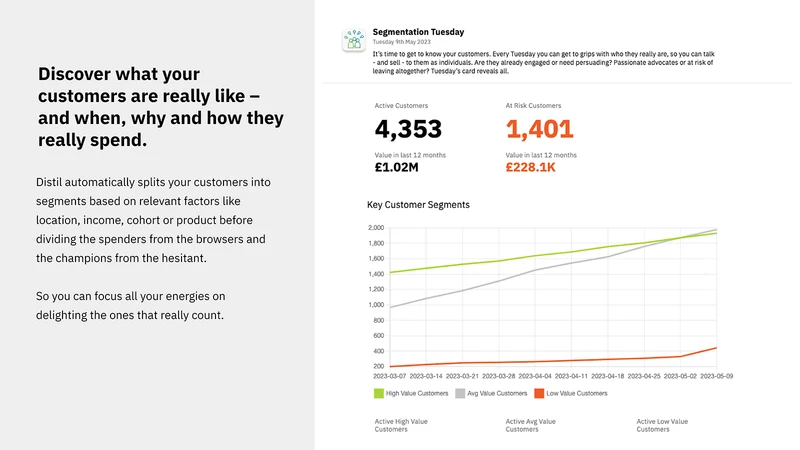 Distil: AI Business Analytics