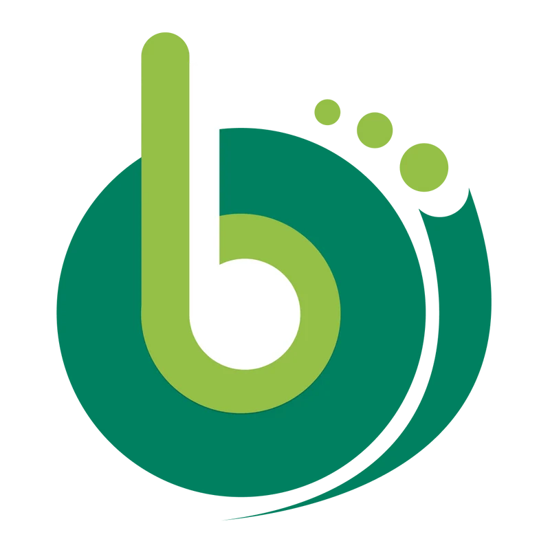 Brisk Checkout Customizer
