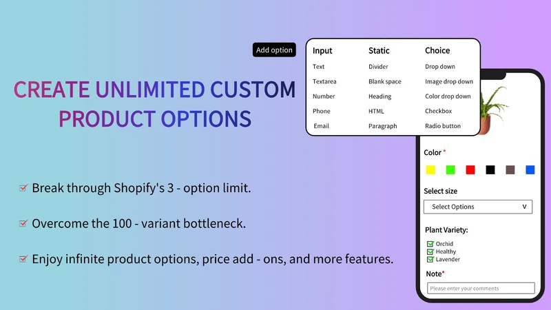 Sectionly AI Product Options