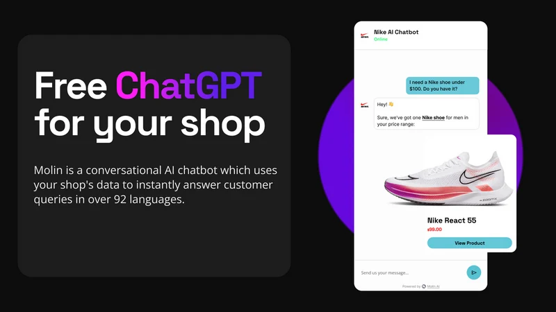 Molin: AI Chatbot Agent