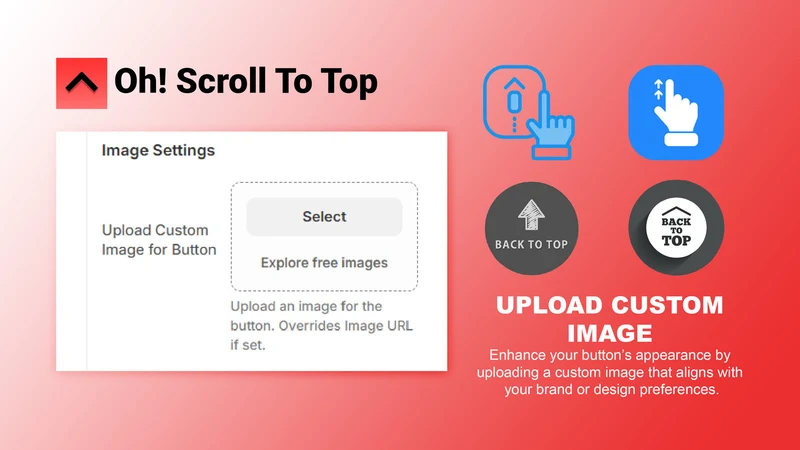 Oh! Scroll To Top