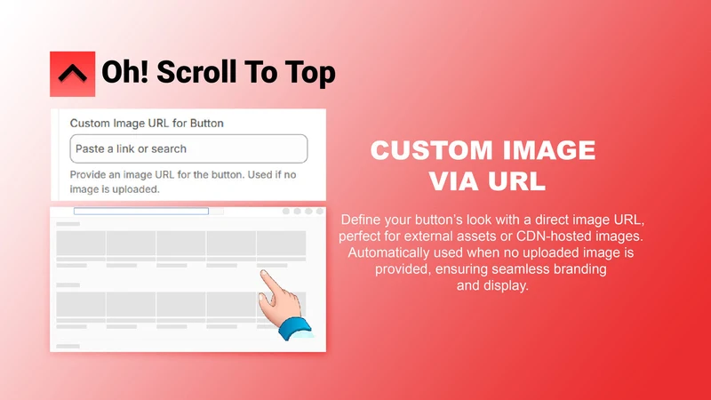 Oh! Scroll To Top