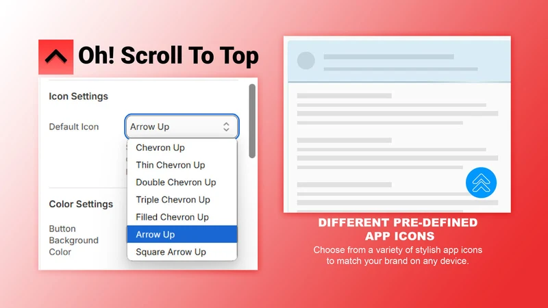 Oh! Scroll To Top