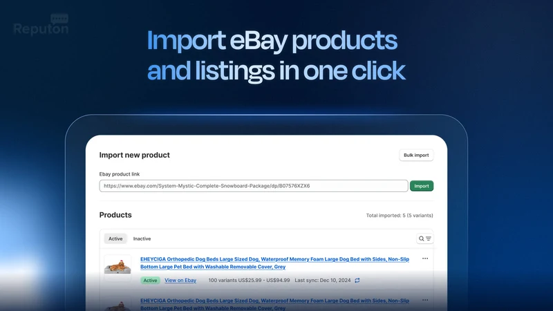 Reputon eBay Importer