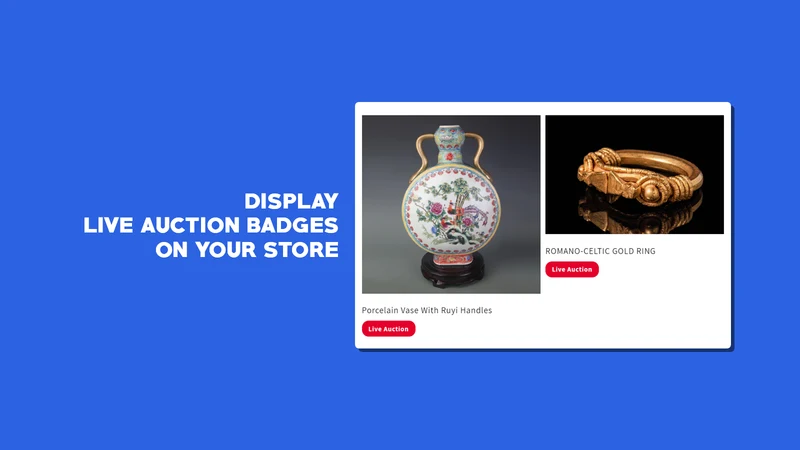 Auctioneers Plus: Live Auction