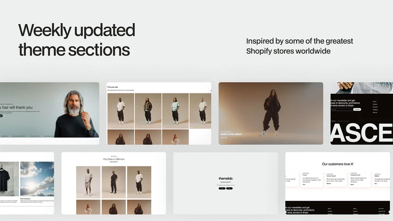 themelab | Theme Sections