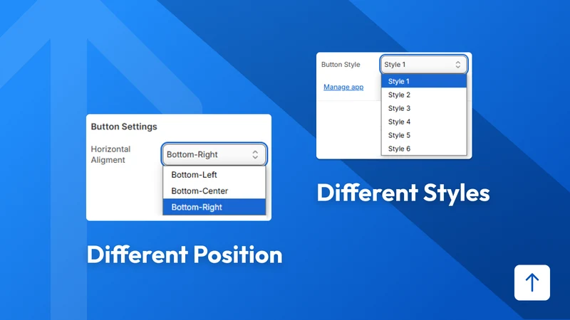 Root Scroll | Scroll To Top