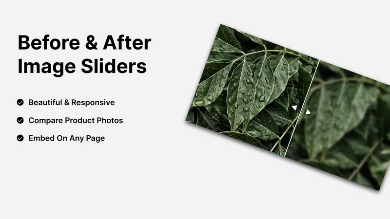 Slidr: Before And After Slider