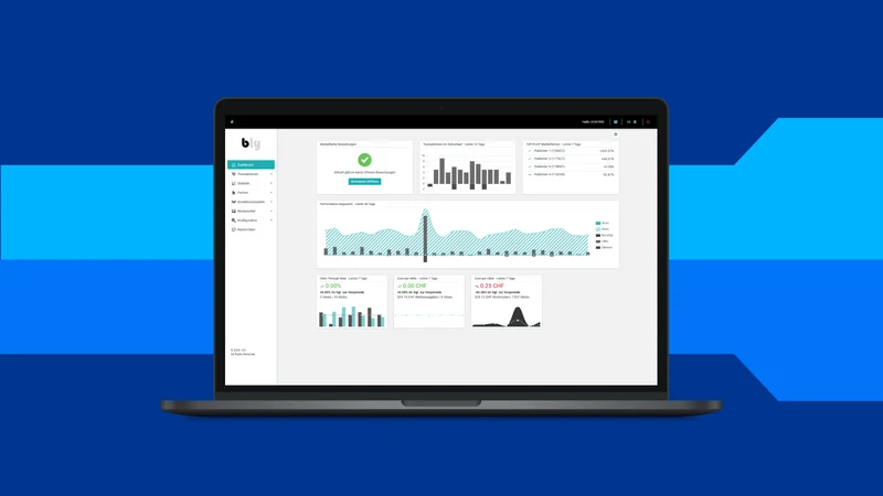 bly Affiliate Marketing