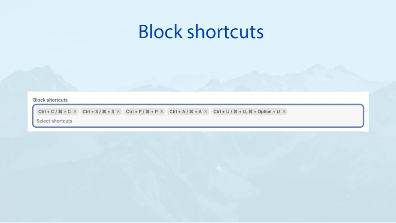 B&S ‑ Spy Protect & IP blocker