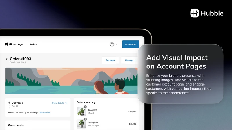 Hubble: Customer Accounts