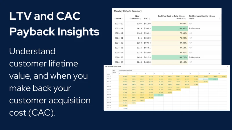 Delineate: Cohort LTV Analysis