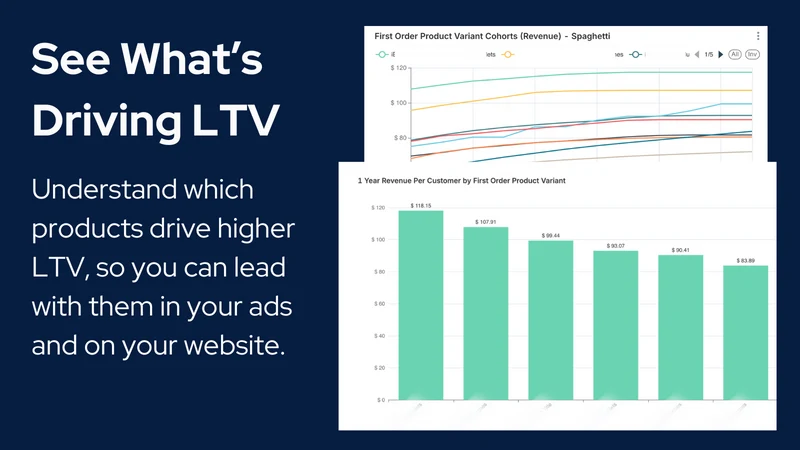 Delineate: Cohort LTV Analysis