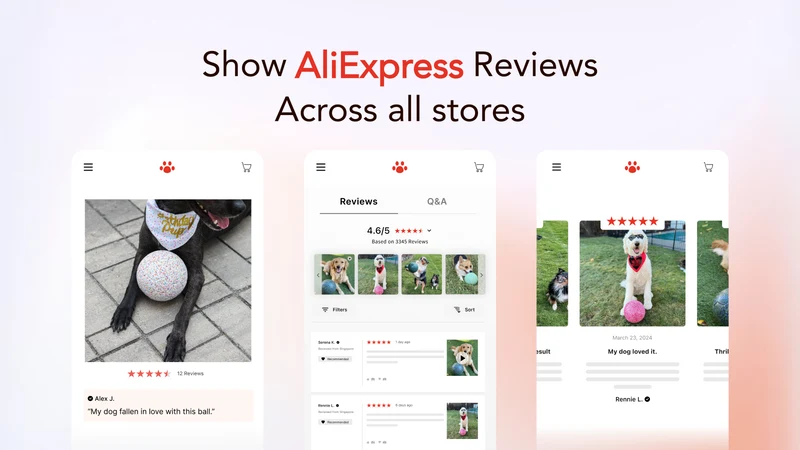 Quoli ‑ Ali Reviews Importer