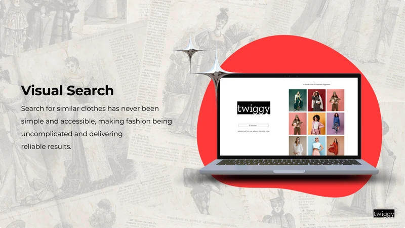Twiggy: Fashion Visual Search