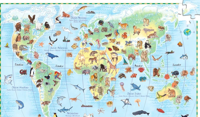 Puzzle Observación Los Animales del mundo - Djeco