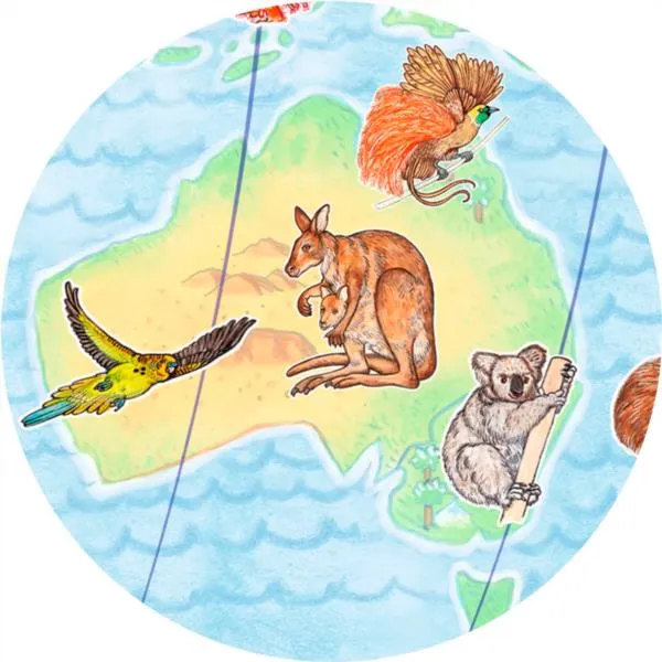 Puzzle Observación Animales Del Mundo