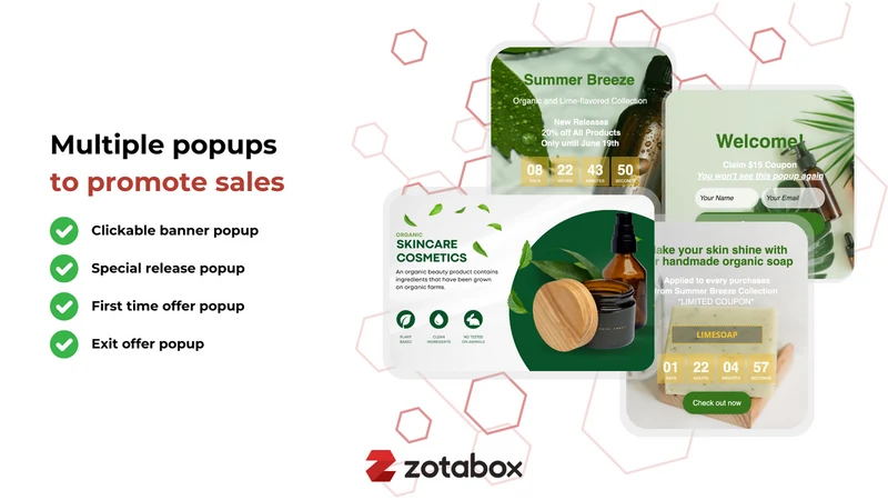 ZB: Exit Intent Pop up Window
