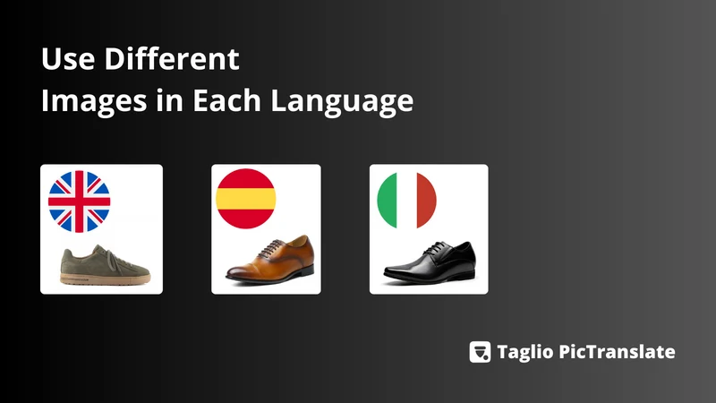 Taglio PicTranslate