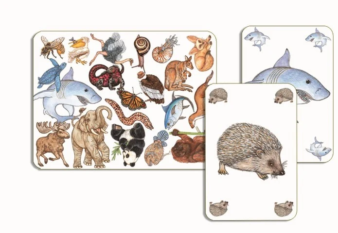 Cartas Zanimatch