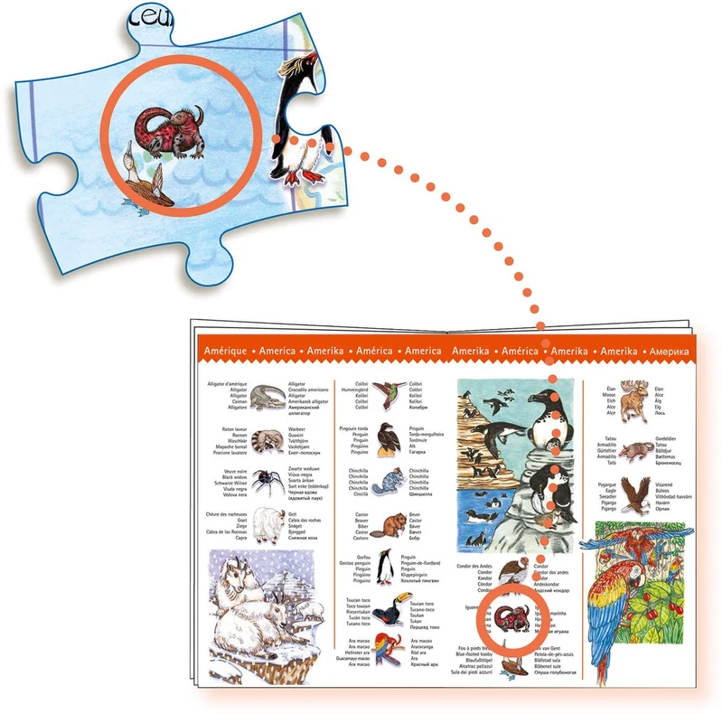 Puzzle Observación: Los Animales del mundo - 100 pzs. - Djeco
