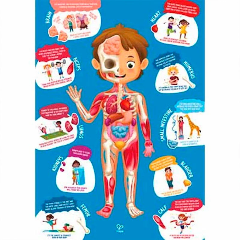 Maletín Puzzle Cuerpo Humano - Hape