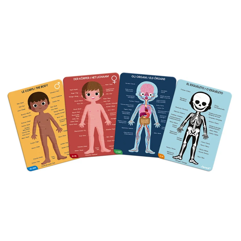 Puzzle Educativo Cuerpo Humano - Janod