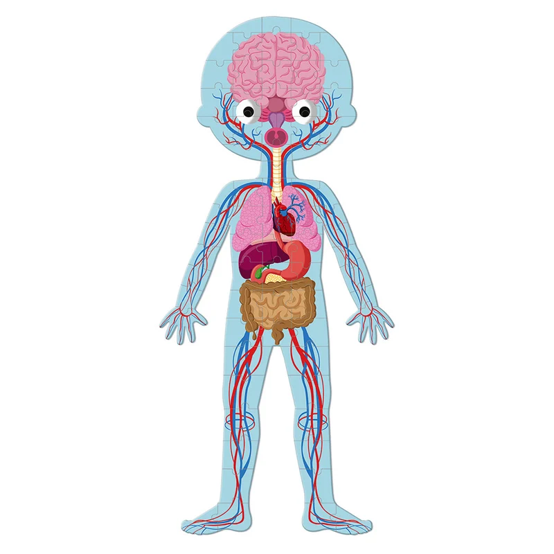 Puzzle Educativo Cuerpo Humano - Janod