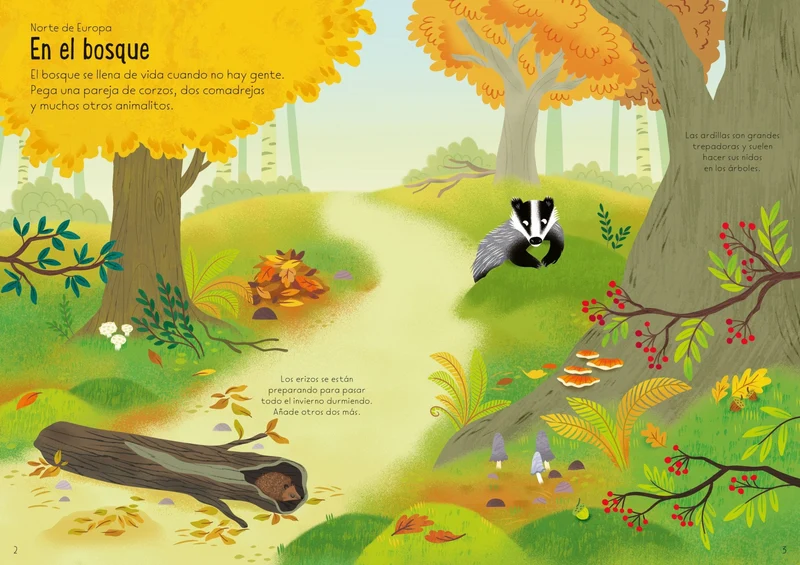Mi pequeño libro de pegatinas - Paisajes del mundo
