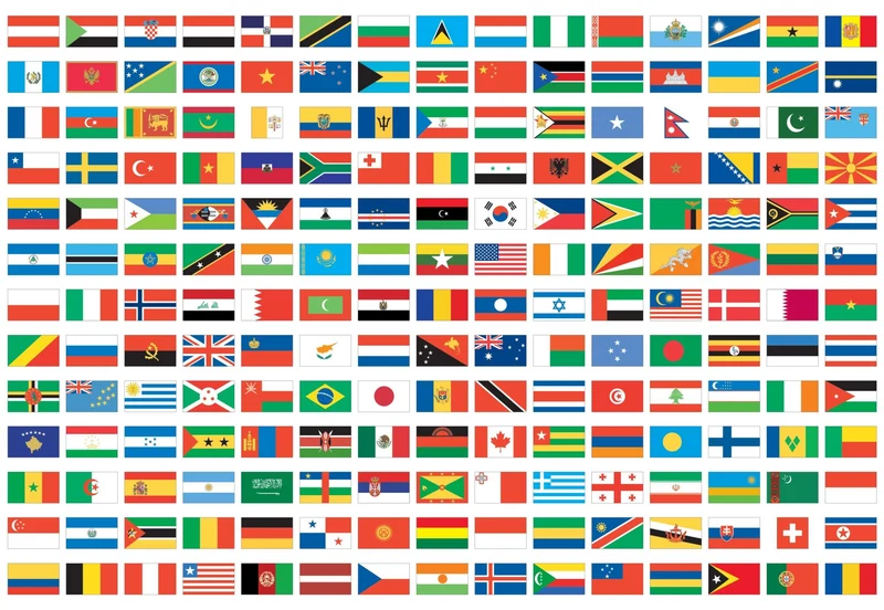 Libro y Puzzle: Banderas del mundo