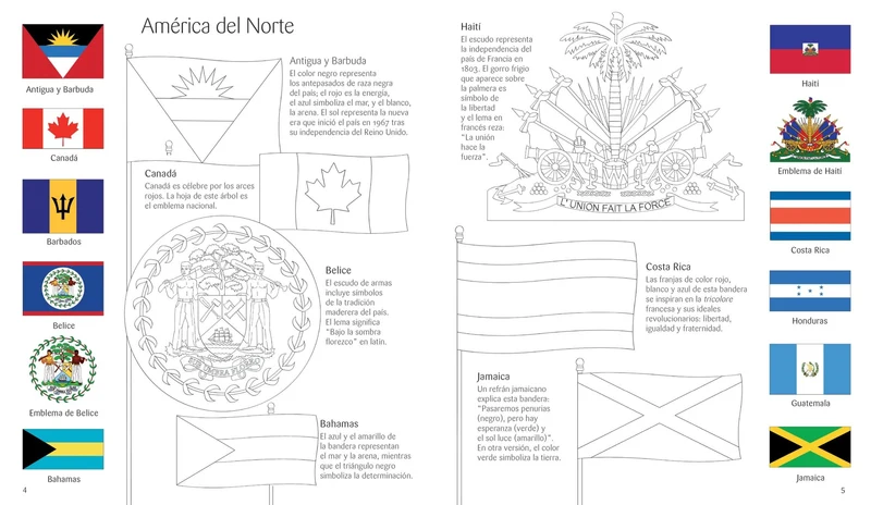 Libro y Puzzle: Banderas del mundo