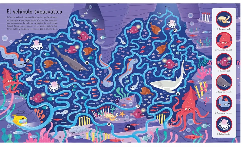 Libro y Puzzle: Laberintos en el mar