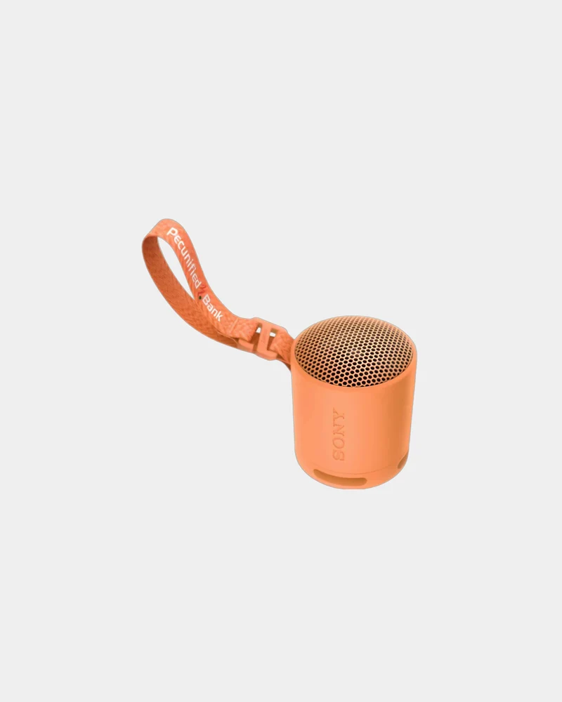 Altavoz reciclado Sony SRS-XB100 para personalizar