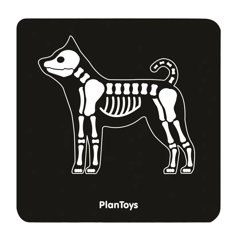 (Liquidación) Set veterinario Plantoys