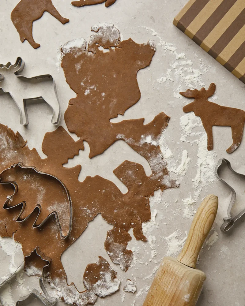 Set 5 cortapastas Vinga Nordic para personalizar
