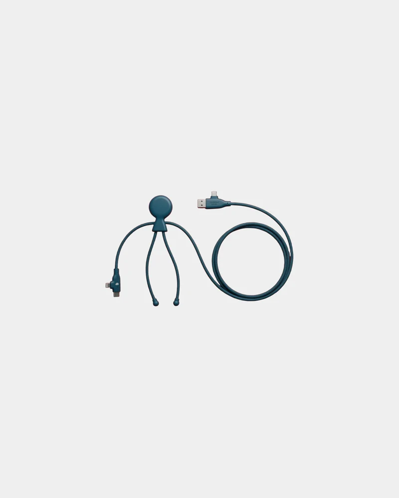 Cable de carga 3 en 1 60W Mr Bio para personalizar