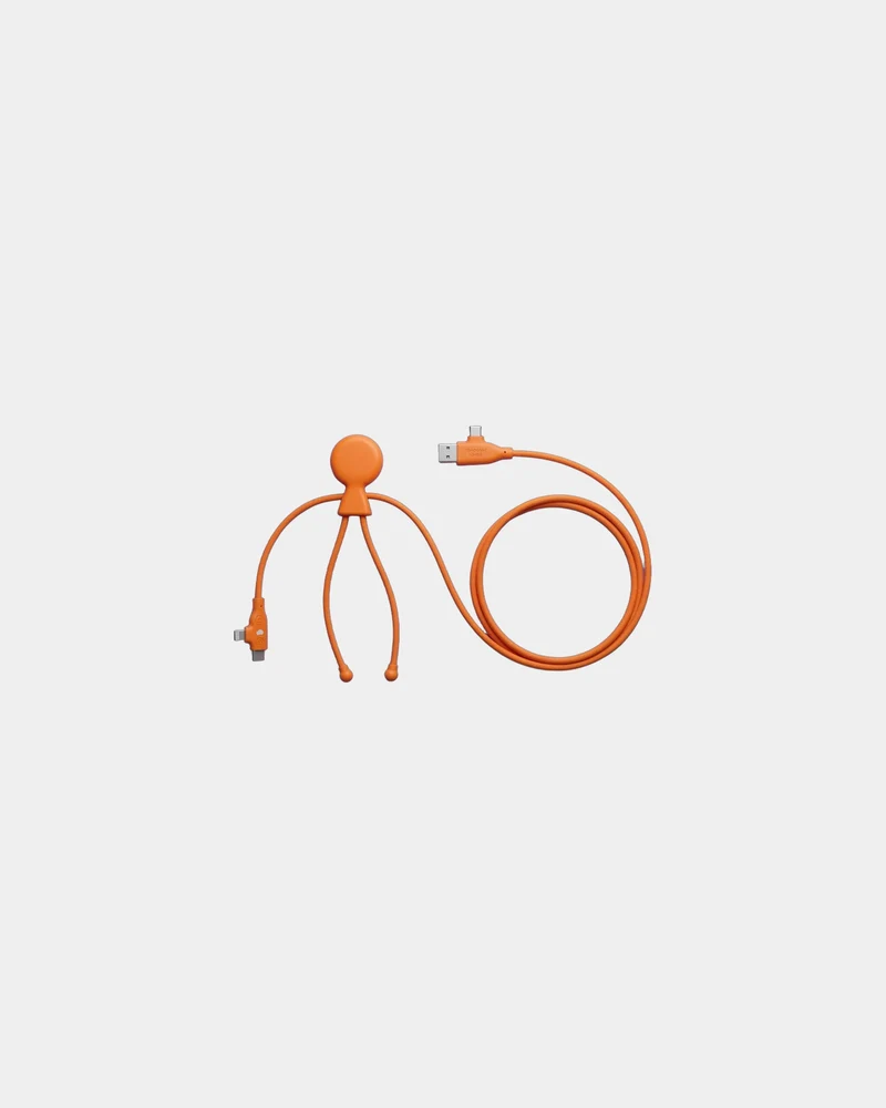Cable de carga 3 en 1 60W Mr Bio para personalizar