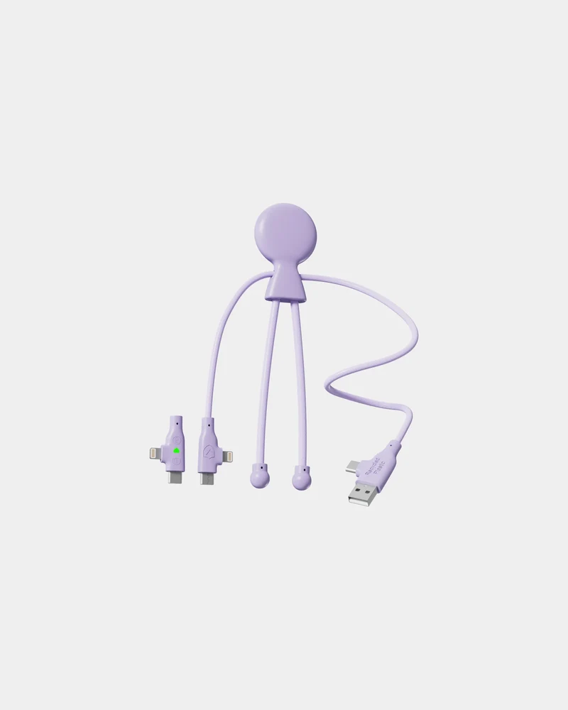 Cable de carga 3 en 1 60W Mr Bio para personalizar