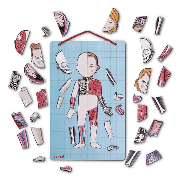 Juego Magnético El Cuerpo Humano Janod En 12 Idiomas