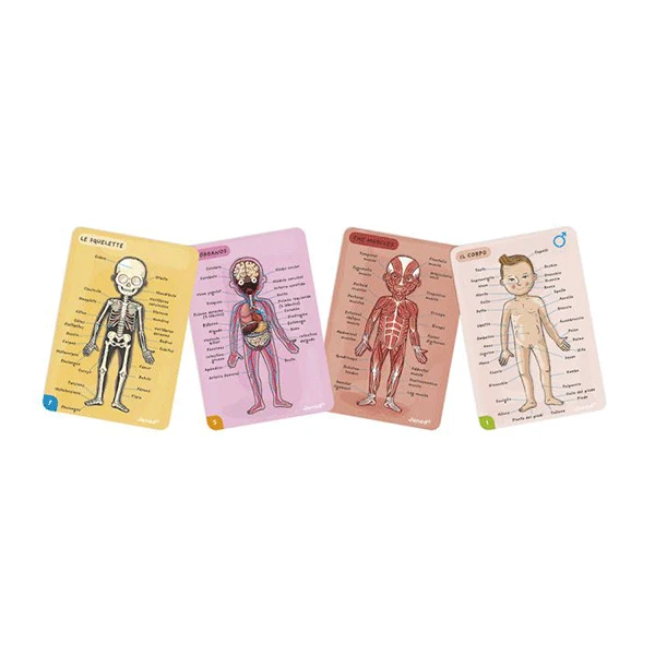 Juego Magnético El Cuerpo Humano Janod En 12 Idiomas