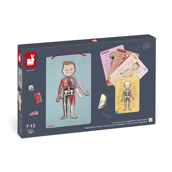 Juego Magnético El Cuerpo Humano Janod En 12 Idiomas