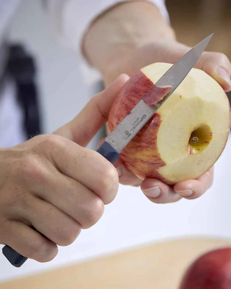 Cuchillo de cocina Opinel N°312 para personalizar