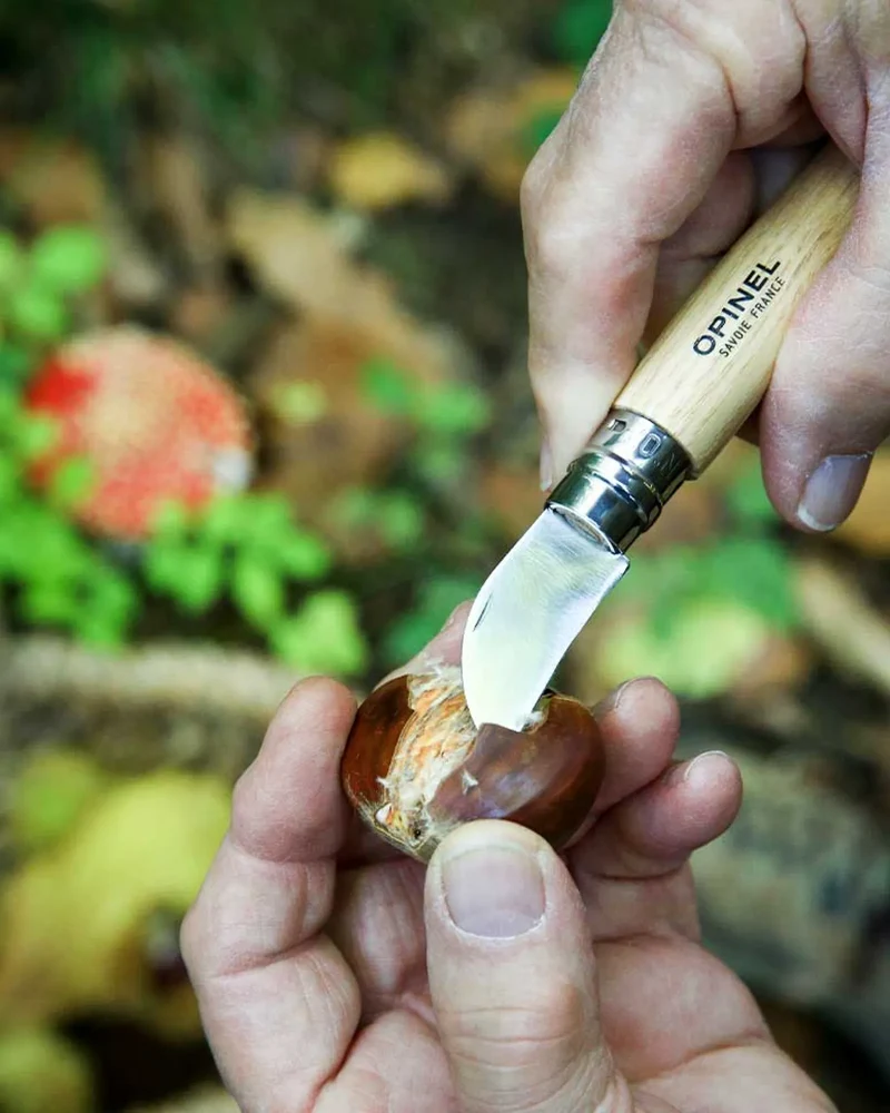 Cuchillo de castañas Opinel N°07 para personalizar
