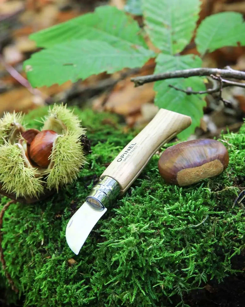 Cuchillo de castañas Opinel N°07 para personalizar