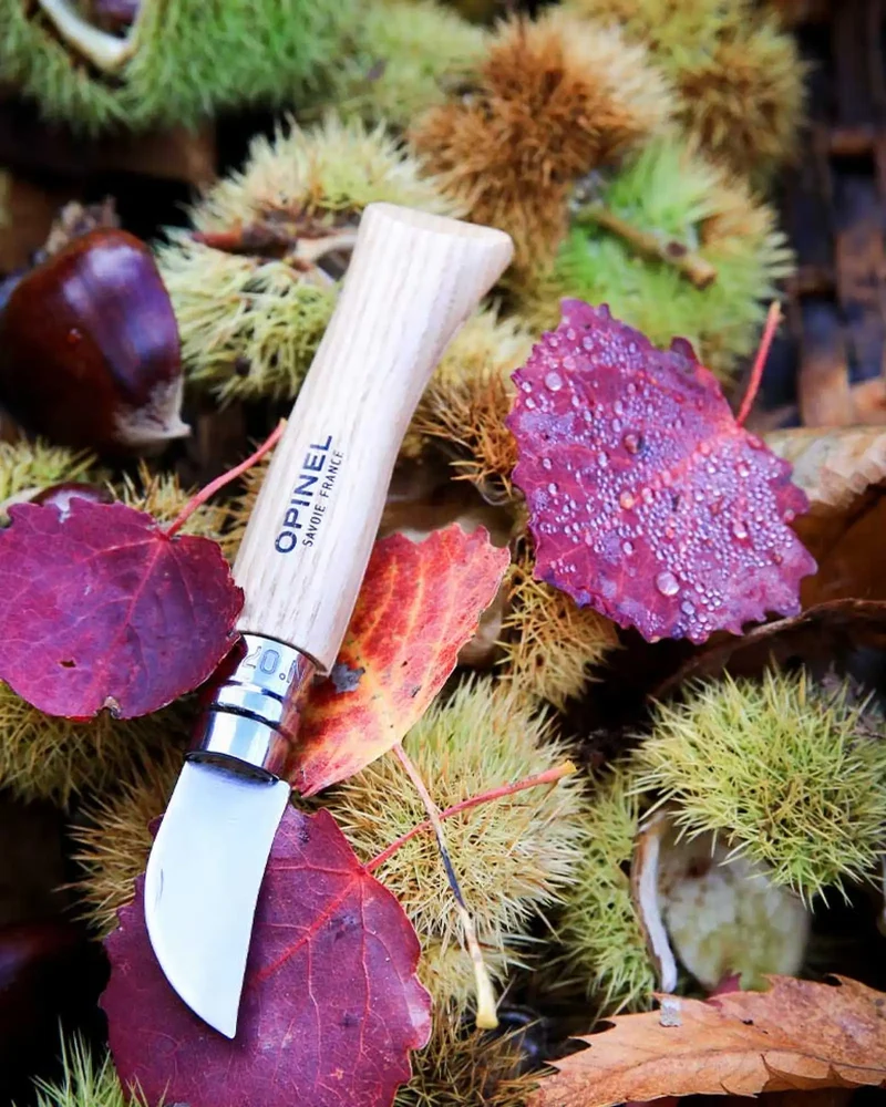 Cuchillo de castañas Opinel N°07 para personalizar