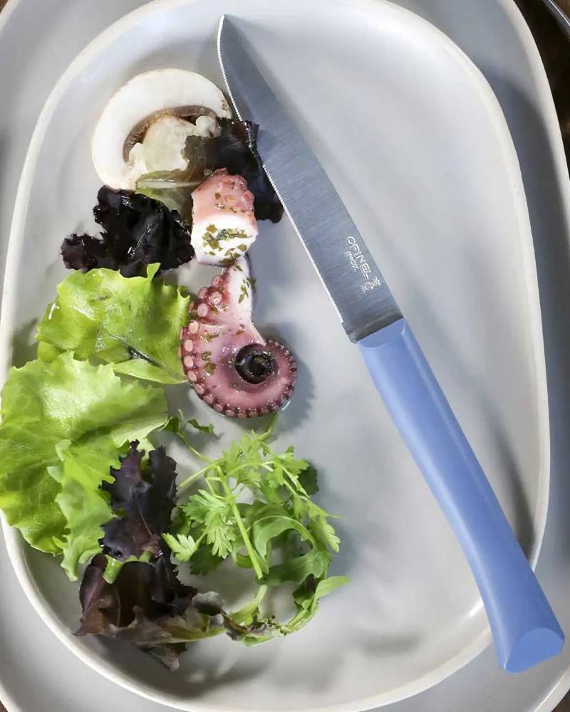 Cuchillo de mesa Opinel Bon Appétit + para personalizar